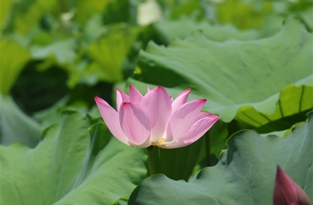 冬至节气朋友圈祝福文案 冬至祝福语简短独特